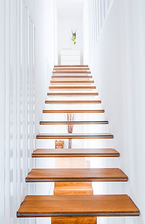 Bild: David von Becker