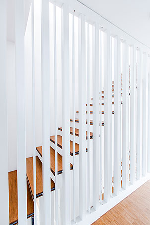 Bild: David von Becker